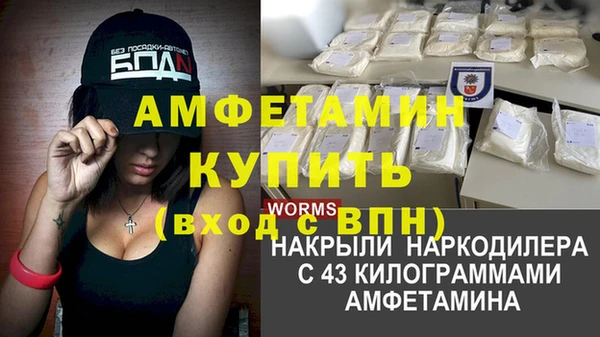 шишки Абинск