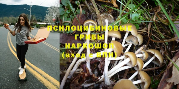 стаф Алексеевка