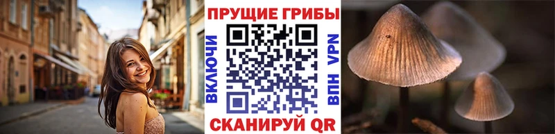 Псилоцибиновые грибы прущие грибы Дивногорск