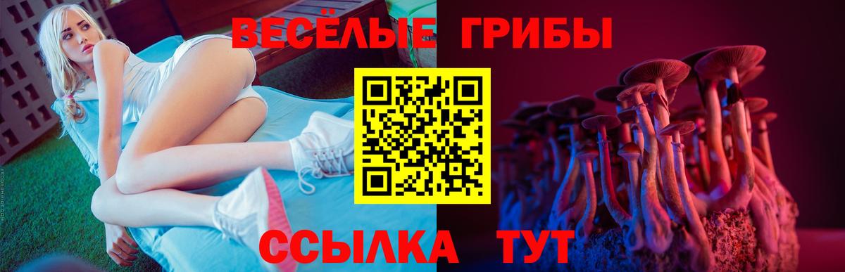 Галлюциногенные грибы Psilocybine cubensis Дивногорск