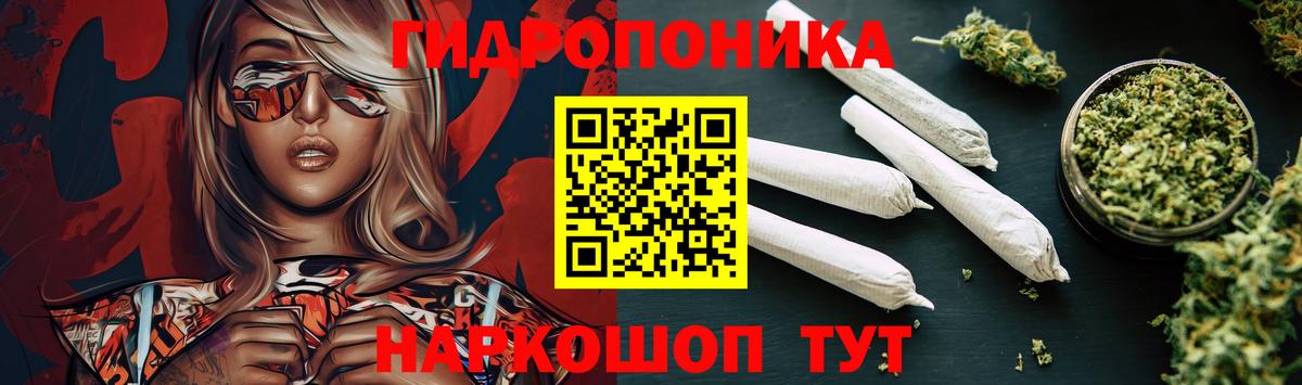 Конопля OG Kush Дивногорск